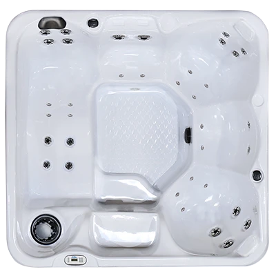 Hawaiian PZ-636L hot tubs for sale in Rio Rancho